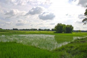 IMG_6246