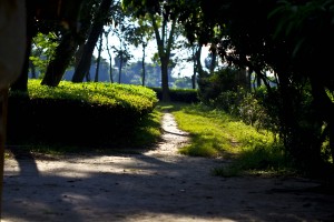 IMG_6314
